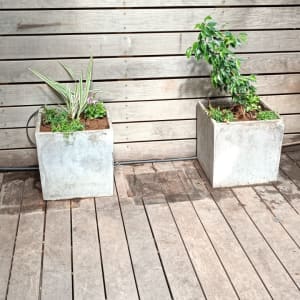 ארבעה עציצים מרובעים עם צמחים על רצפת עץ