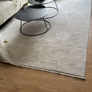 שטיח עם כתמים על רצפת עץ ליד ספה