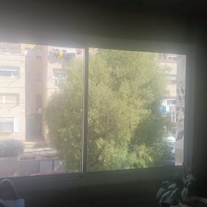 חלון אלומיניום עם נוף חיצוני של עץ ובניינים