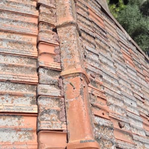 רעפים ישנים עם טחב על גג רעפים