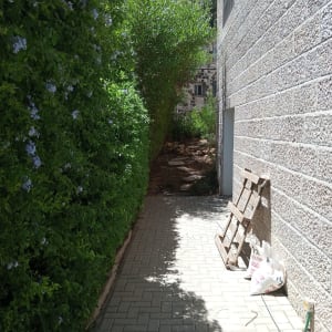 שקיות גינון, סולם עץ, שביל מרוצף ליד שיחים