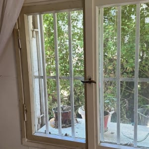 חלון עם סורגים וצמחים בחוץ