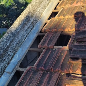 רעפים אדומים על גג עם קורות עץ חשופות