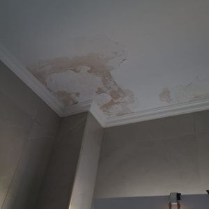 תקרה עם סימני רטיבות והתקלפות צבע