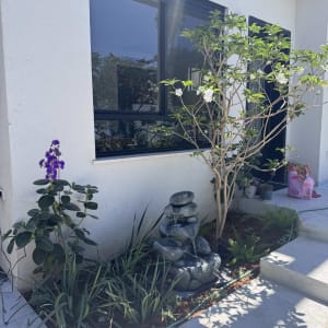 גינה עם צמחים ומזרקת מים קטנה ליד קיר בית