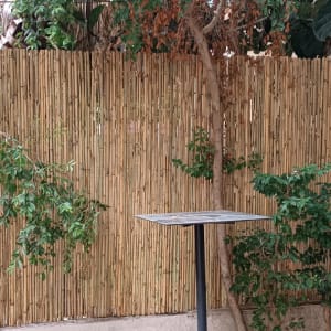 צמחים מטפסים על גדר במבוק בגינה קטנה