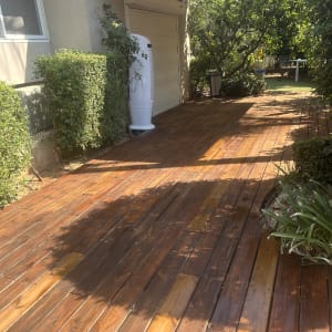 דק עץ בגינה עם צמחייה מסביב