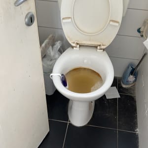 אסלה סתומה עם מים עכורים ומברשת ניקוי