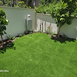 עצים ודשא ירוק בגינה קטנה עם מערכת השקיה