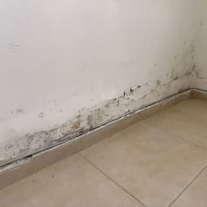 קיר עם רטיבות ונזקי צבע בפינה