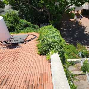 גג רעפים עם דוד שמש וצמחייה מסביב