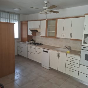 עבודות צבע וטיח