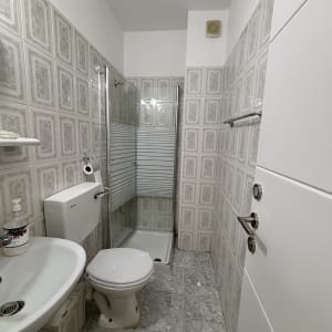 מקלחת עם כיור ושירותים בחדר אמבטיה קטן