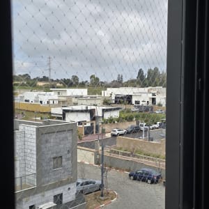 רשת יונים מותקנת על חלון עם נוף חיצוני