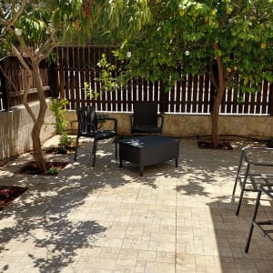 עצים ירוקים בגינה עם כיסאות ושולחן