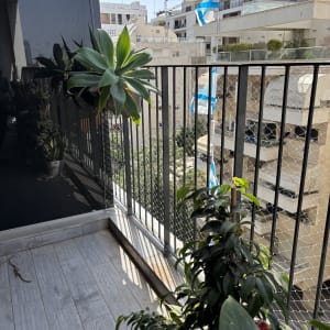 מרפסת עם צמחים ודגלי ישראל ברקע