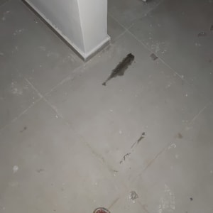 רצפה מלוכלכת עם סימני לכלוך וכתמים