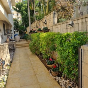 שיחים ופרחים בגינה עם שביל מרוצף