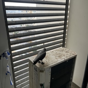 פסל יונה על מזגן במרפסת עם סורגים