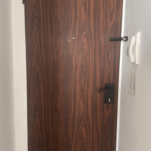 דלת עם ציפוי עץ וידית שחורה