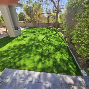 דשא ירוק ועצים בגינה פרטית