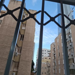 סורג מתכת ישר לחלון בעיצוב דקורטיבי