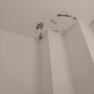 תקרה עם קילופי צבע ופגמים