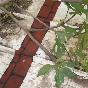 איטום גג עם יריעות ביטומניות אדומות ושחורות