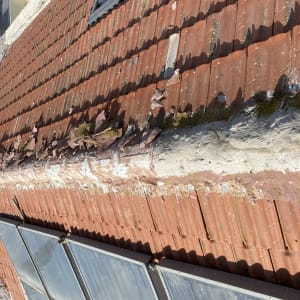 גג רעפים אדום עם קילופים ונזק לאורך הקצה