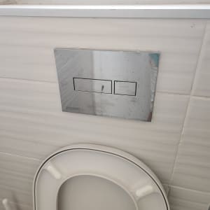 לחצן הדחה בשירותים עם מושב אסלה