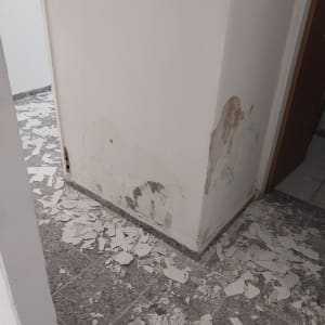 קיר מתקלף עם שאריות צבע על הרצפה