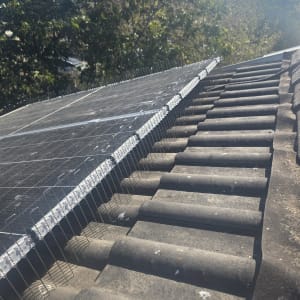 מערכת דוקרנים על גג למניעת יונים