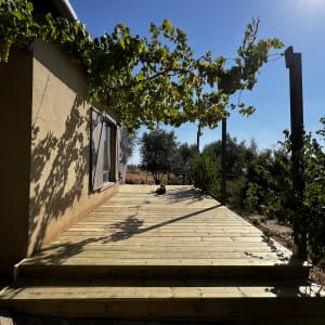 דק עץ עם גפן מטפסת בשמש