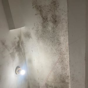 תקרה עם כתמי עובש וסדקים לפני צביעה