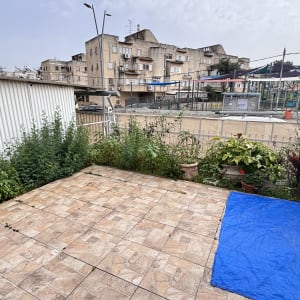 צמחים ופרחים בגינה ליד מבנה עירוני