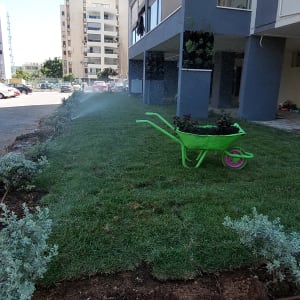 מריצה ירוקה עם צמחים על דשא מושקה