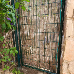 שער מתכת ירוק עם צמחייה מסביב