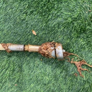 צינור מתכת עם חלודה ושורשים על דשא