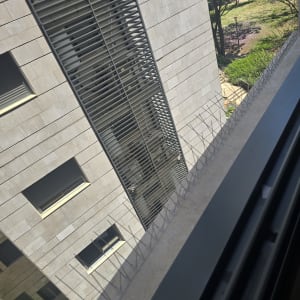 קוצים למניעת יונים על אדן חלון בבניין