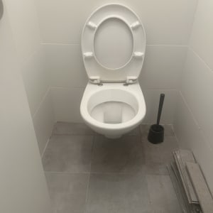 אסלה בחדר שירותים עם מברשת וניירות