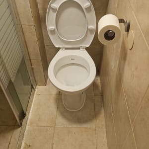 אסלה, נייר טואלט, מקלחת, צנרת, חדר אמבטיה