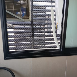 רשת יונים מותקנת על חלון למניעת כניסת יונים