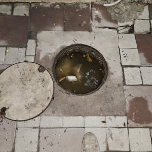 פתח ביוב פתוח עם מים עומדים