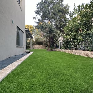 דשא ירוק ועץ בגינה פרטית