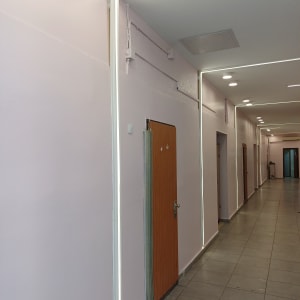 קירות צבועים בלבן עם דלתות עץ במסדרון