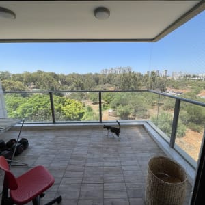 מרפסת עם רשת למניעת כניסת יונים