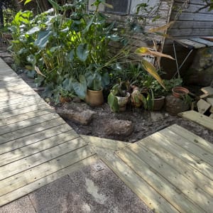 דק עץ ליד צמחים ועציצים בגינה