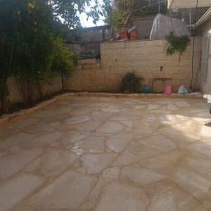 עץ לימון, עציצים, צינור השקיה, גינה קטנה