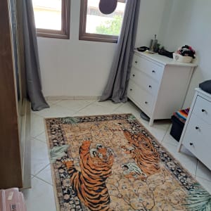 חדר עם שטיח נמרים, שידות וחלונות