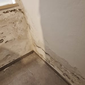 קיר עם סימני רטיבות ועובש בפינה